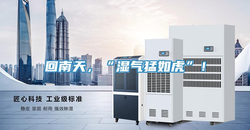 回南天，“湿气猛如虎”！