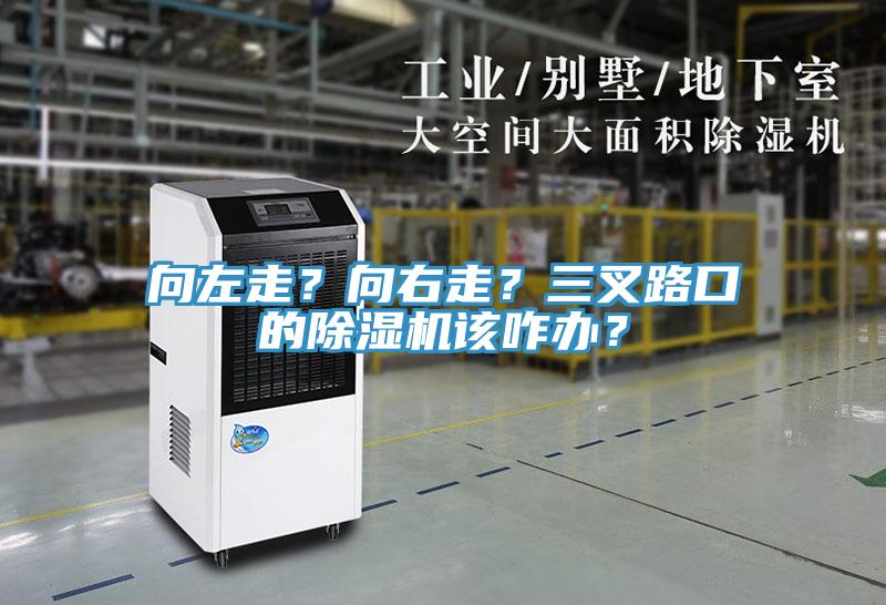 向左走？向右走？三叉路口的除湿机该咋办？