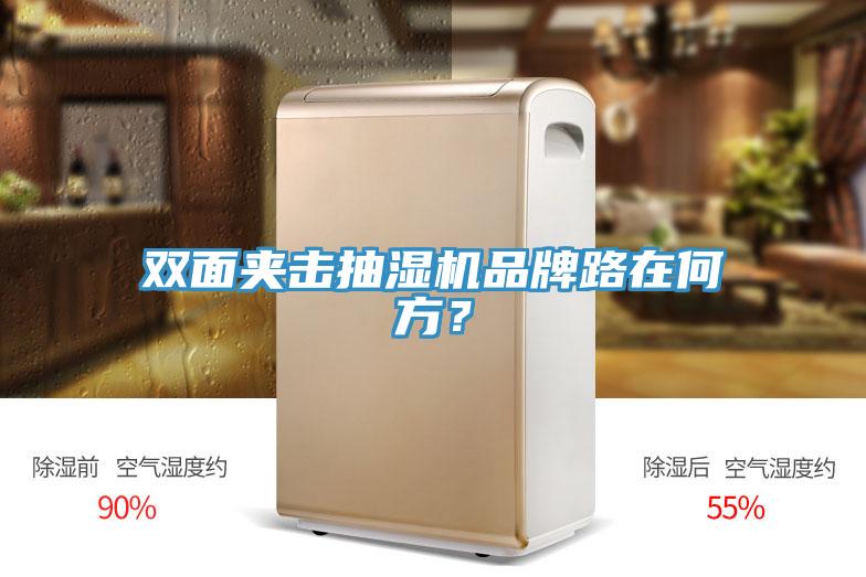 双面夹击抽湿机品牌路在何方？