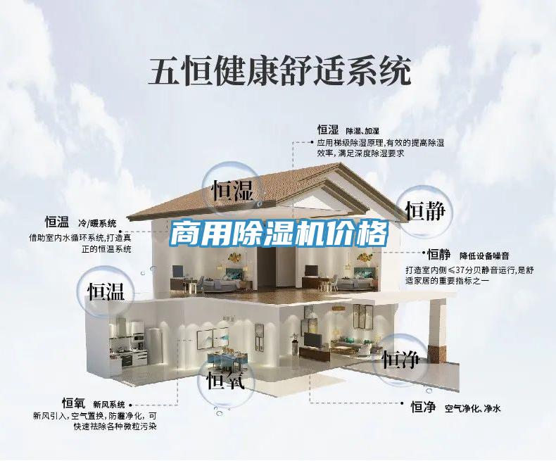 商用除湿机价格