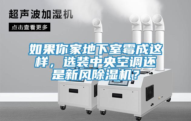 如果你家地下室霉成这样，选装中央空调还是新风除湿机？