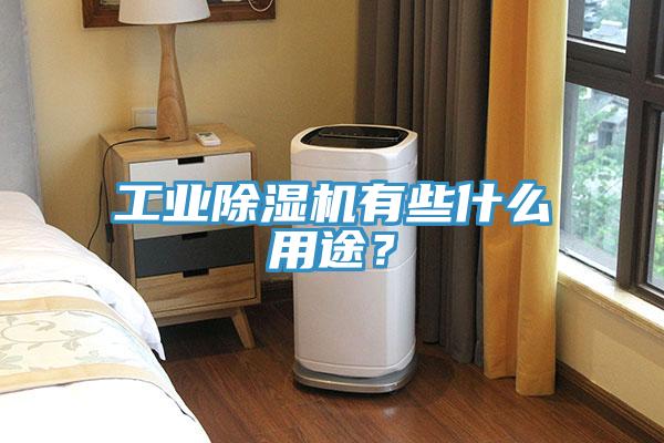 工业除湿机有些什么用途？