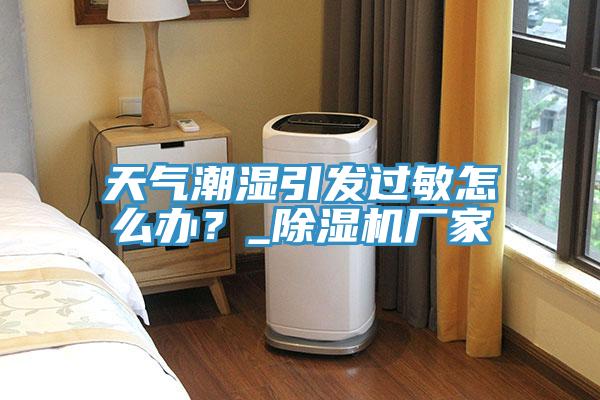 天气潮湿引发过敏怎么办？_除湿机厂家