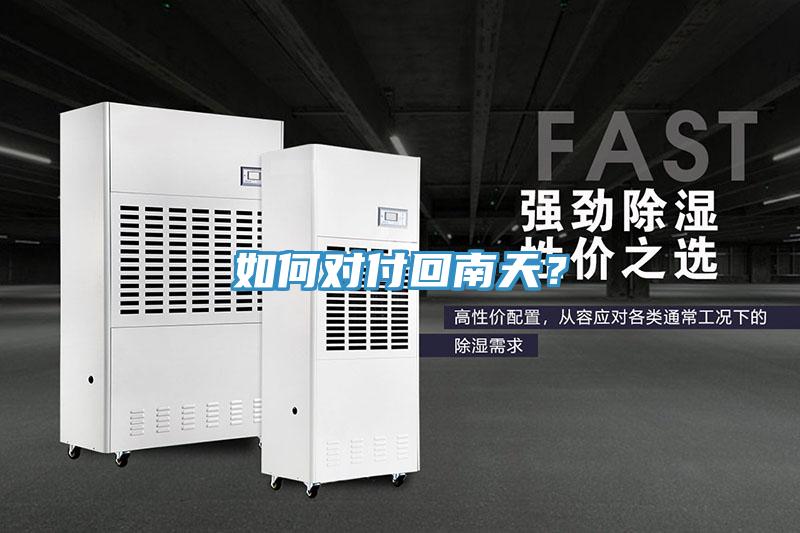如何对付回南天？