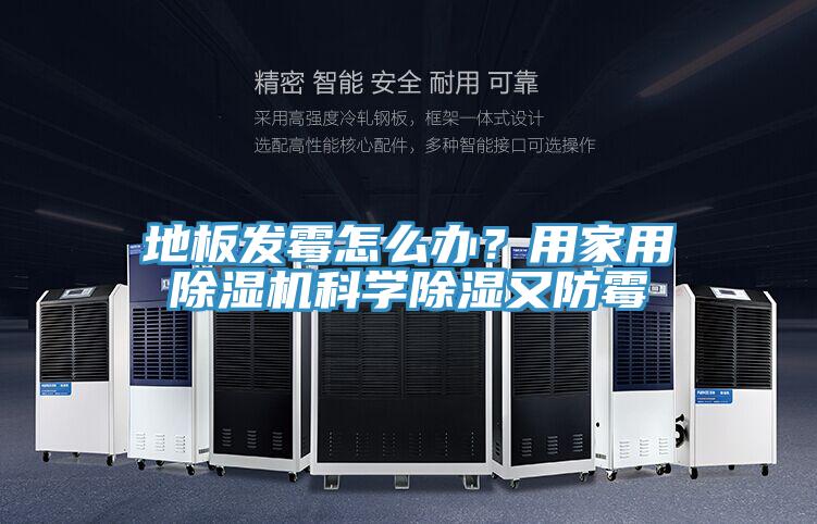 地板发霉怎么办？用家用除湿机科学除湿又防霉