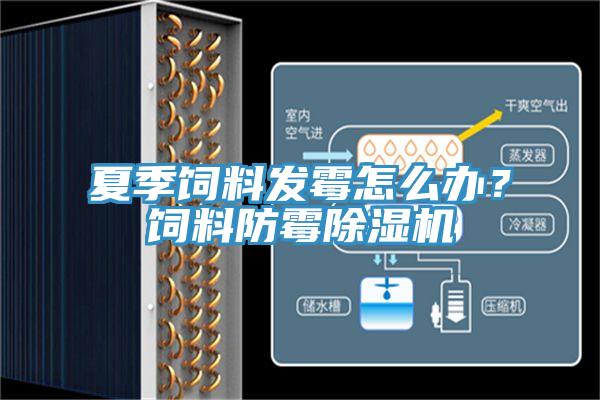 夏季饲料发霉怎么办？饲料防霉除湿机