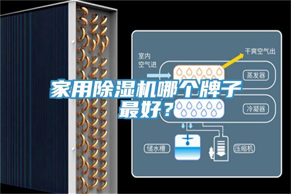 家用除濕機(jī)哪個牌子最好？