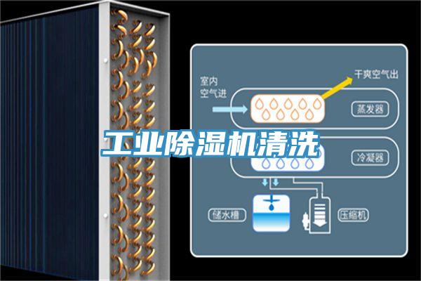 工业除湿机清洗