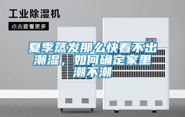 夏季蒸发那么快看不出潮湿，如何确定家里潮不潮