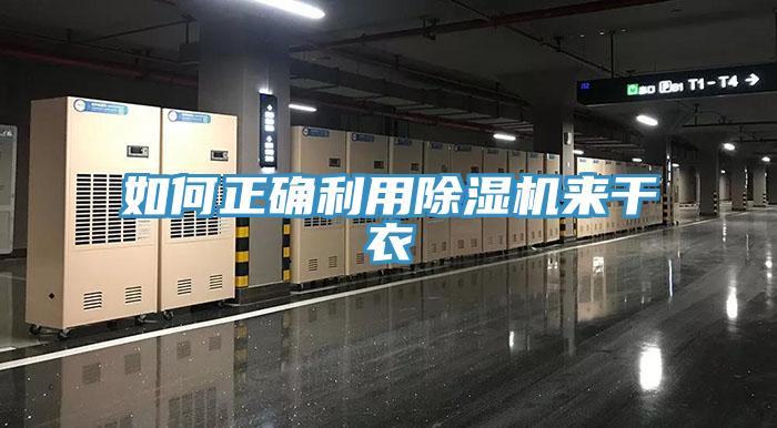 如何正确利用除湿机来干衣