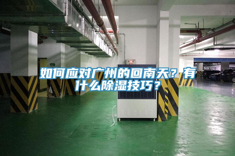 如何应对广州的回南天？有什么除湿技巧？
