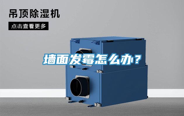 墙面发霉怎么办？
