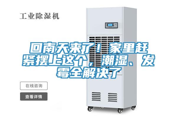 回南天来了！家里赶紧摆上这个，潮湿、发霉全解决了