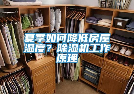 夏季如何降低房屋湿度？除湿机工作原理
