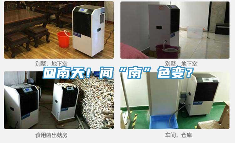 回南天！闻“南”色变？