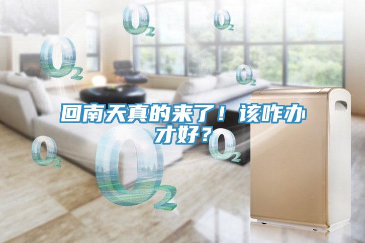 回南天真的来了！该咋办才好？