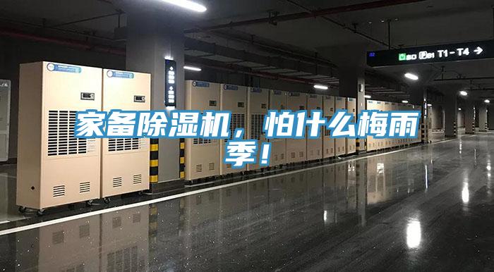 家备除湿机，怕什么梅雨季！