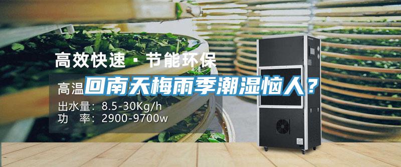 回南天梅雨季潮湿恼人？
