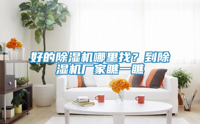 好的除湿机哪里找？到除湿机厂家瞧一瞧