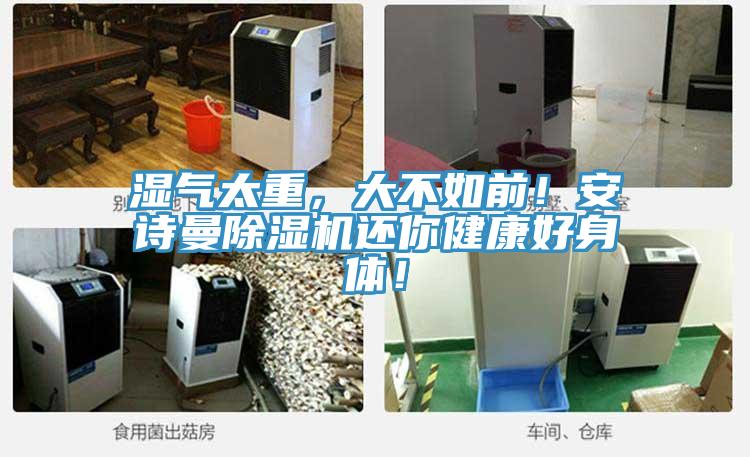 濕氣太重，大不如前！安詩曼除濕機(jī)還你健康好身體！