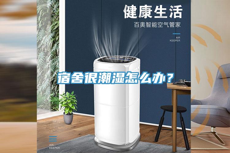 宿舍很潮濕怎么辦？