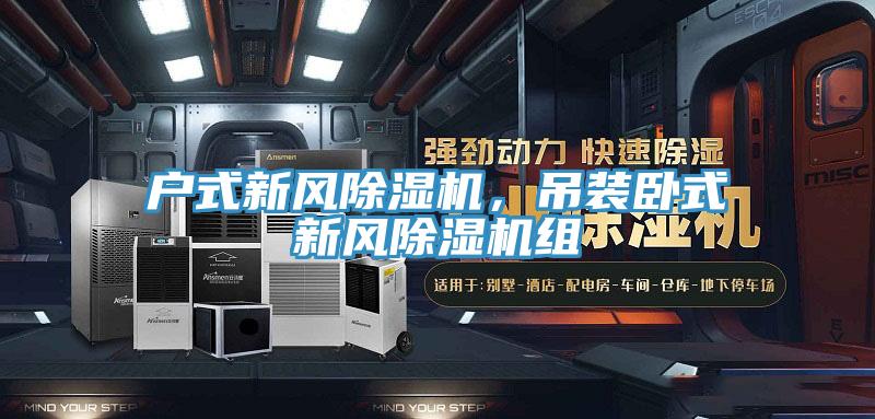 戶式新風(fēng)除濕機，吊裝臥式新風(fēng)除濕機組