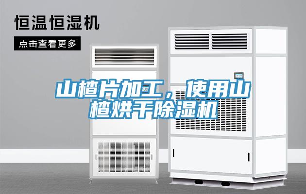 山楂片加工，使用山楂烘干除濕機