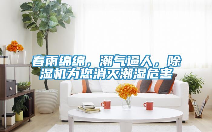 春雨綿綿，潮氣逼人，除濕機為您消滅潮濕危害