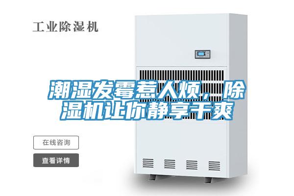 潮濕發(fā)霉惹人煩，除濕機讓你靜享干爽