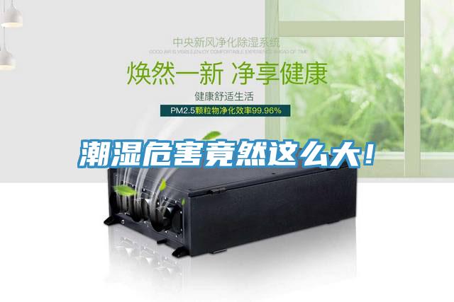 潮濕危害竟然這么大！
