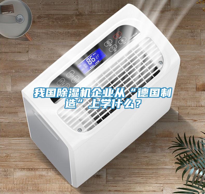 我國(guó)除濕機(jī)企業(yè)從“德國(guó)制造”上學(xué)什么？