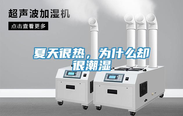 夏天很热，为什么却很潮湿