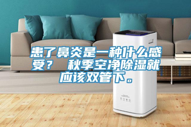 患了鼻炎是一種什么感受？ 秋季空凈除濕就應(yīng)該雙管下。