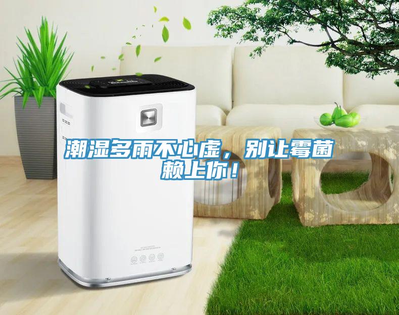 潮濕多雨不心虛，別讓霉菌賴上你！