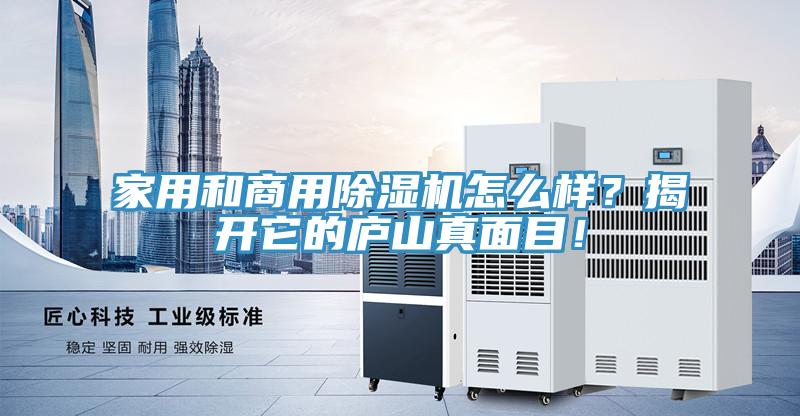 家用和商用除濕機(jī)怎么樣？揭開它的廬山真面目！