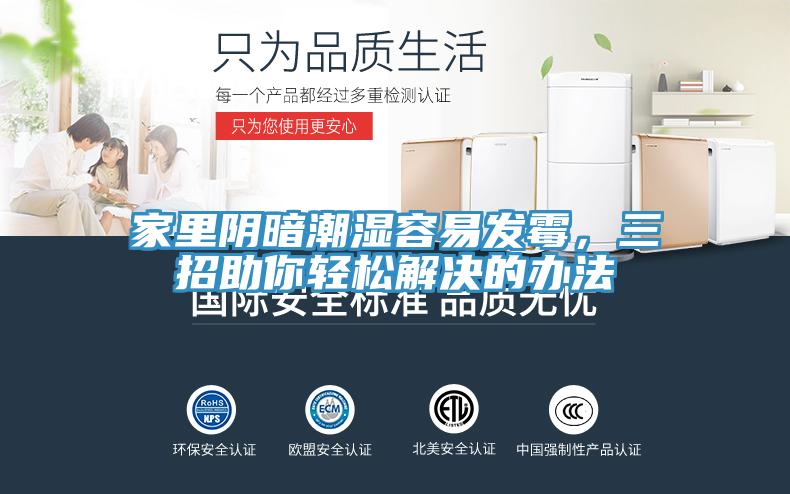 家里陰暗潮濕容易發(fā)霉，三招助你輕松解決的辦法