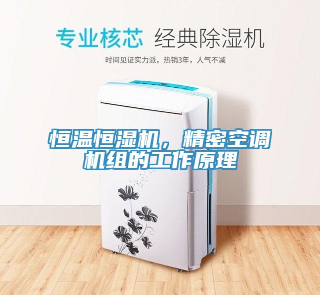 恒溫恒濕機(jī)，精密空調(diào)機(jī)組的工作原理