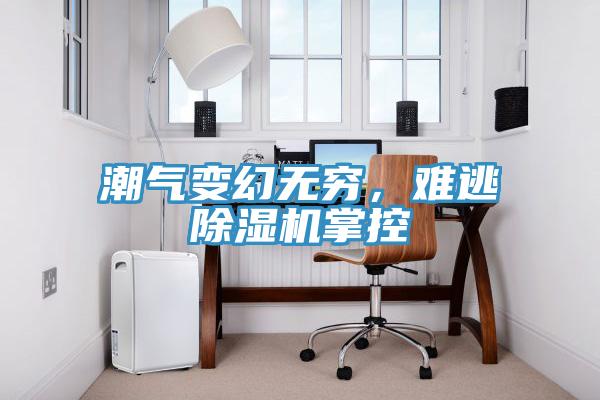 潮氣變幻無(wú)窮，難逃除濕機(jī)掌控