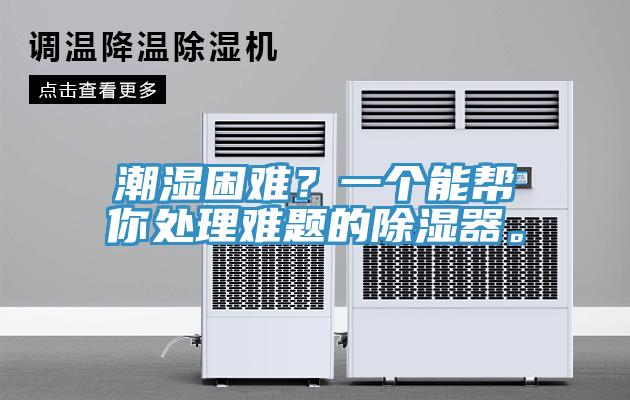 潮濕困難？一個(gè)能幫你處理難題的除濕器。