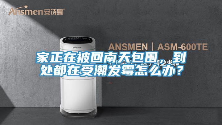 家正在被回南天包圍，到處都在受潮發(fā)霉怎么辦？