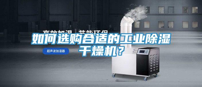如何选购合适的工业除湿干燥机？