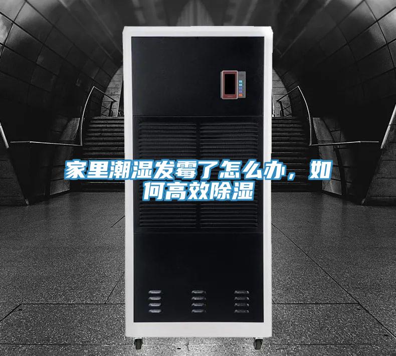 家里潮濕發(fā)霉了怎么辦，如何高效除濕