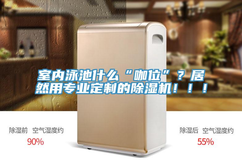 室內(nèi)泳池什么“咖位”？居然用專業(yè)定制的除濕機(jī)！?。?/></p>
                            <p style=