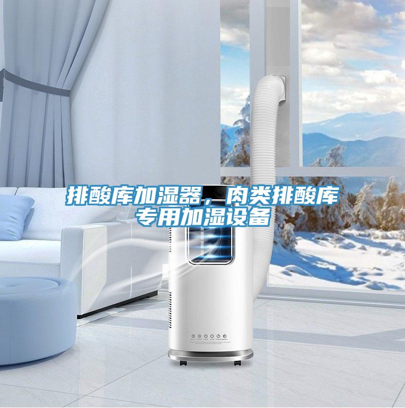 排酸庫加濕器，肉類排酸庫專用加濕設(shè)備