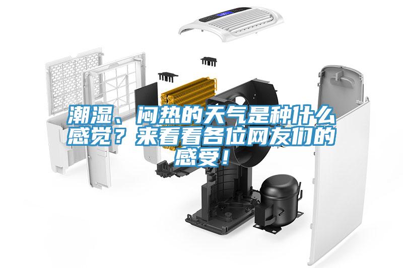潮濕、悶熱的天氣是種什么感覺？來看看各位網(wǎng)友們的感受！