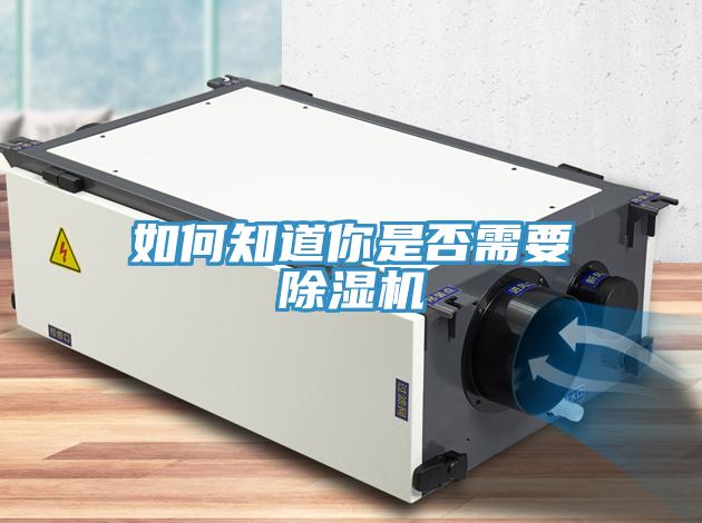 如何知道你是否需要除湿机