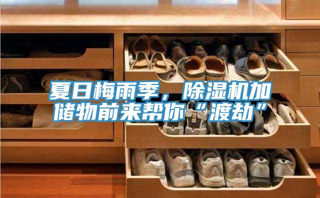 夏日梅雨季，除湿机加储物前来帮你“渡劫”