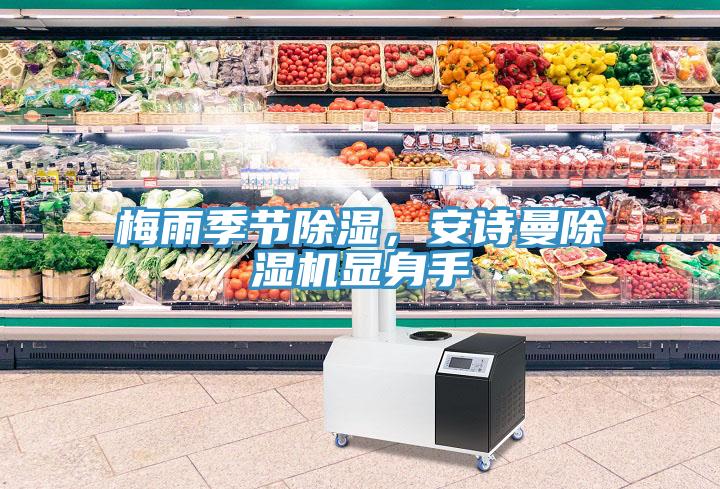 梅雨季節(jié)除濕，安詩(shī)曼除濕機(jī)顯身手