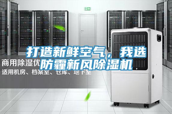 打造新鮮空氣，我選防霾新風(fēng)除濕機(jī)