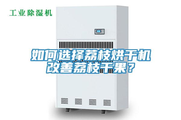 如何选择荔枝烘干机改善荔枝干果？